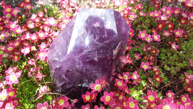 Amethyst Spitze aus Uruguay, 3350 Gramm. :-)