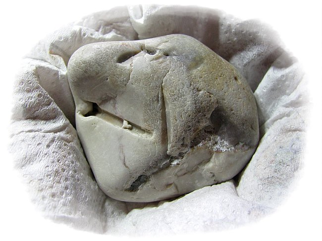 FLint mit Abdruck von Seeigel-Stachel