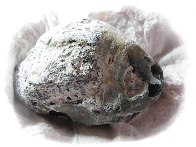 Flint mit fossilem Schwamm