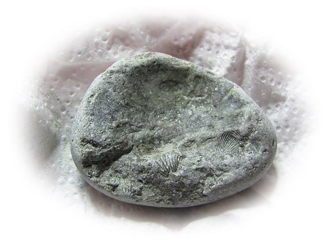 Fossilkalk