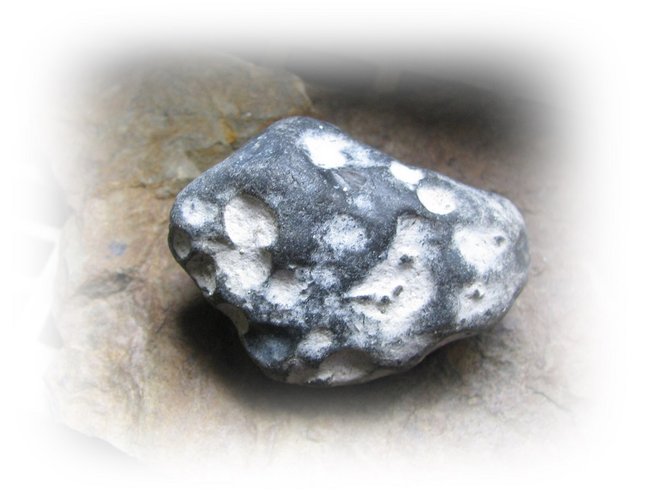 Amethyst 2 024.JPG