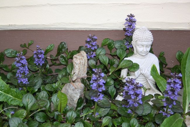 Buddha mit seinen Tempeln 1.jpg