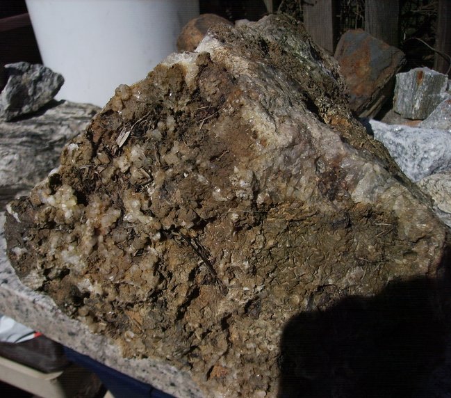 rosti2012.JPG