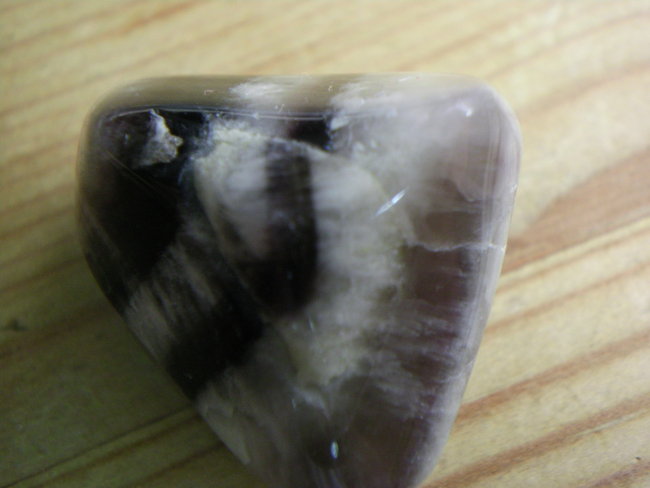 SANY0011.jpg
