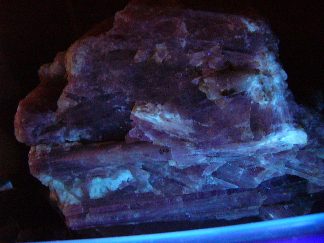 mit UV Licht