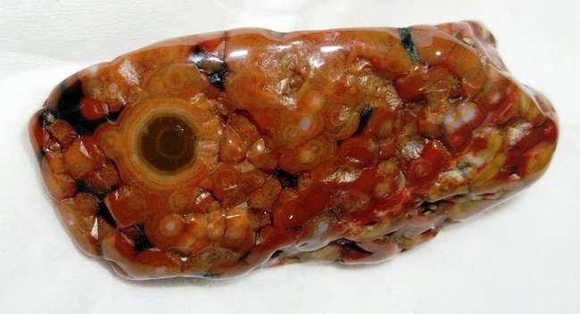 ozi from Rita Schüler- turmelix.JPG