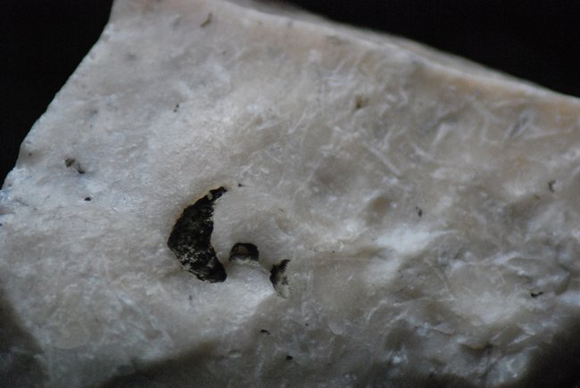 Bryozoenflint