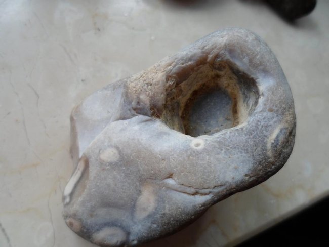 flint oder feuerstein mit fosillresten