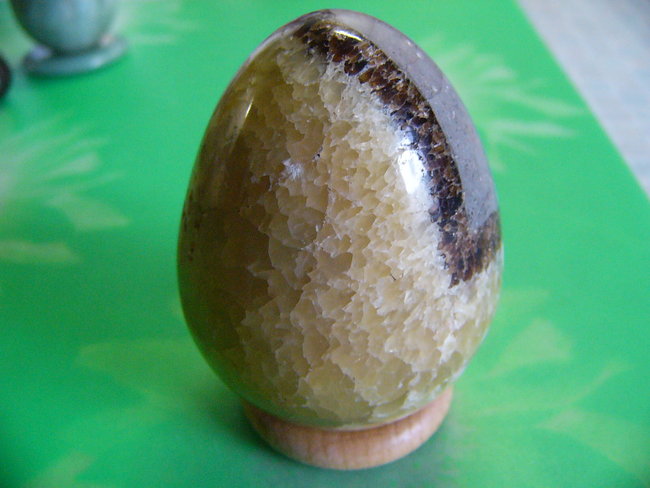 Septarien