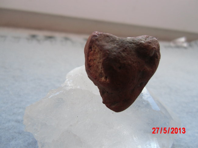DSCI0244.JPG