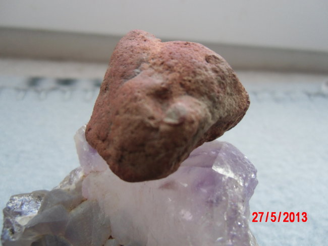 DSCI0247.JPG