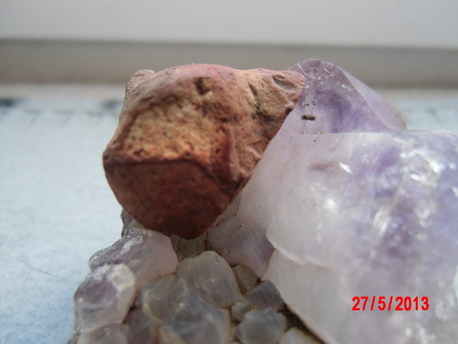 DSCI0248.JPG