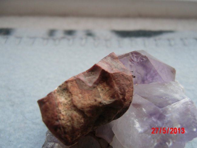 DSCI0249.JPG