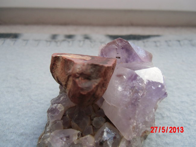 DSCI0250.JPG