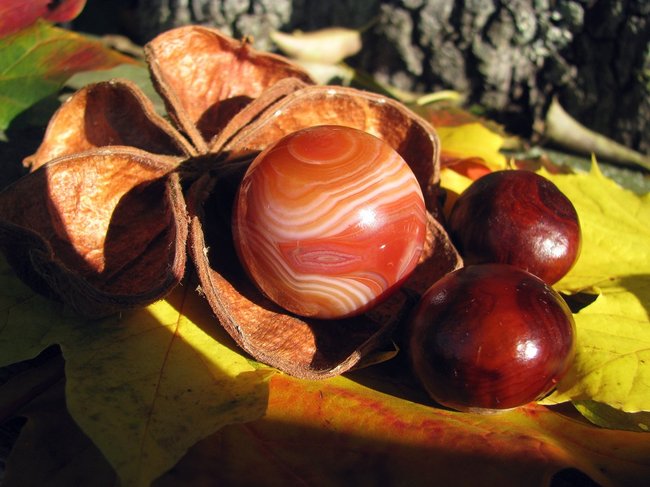 Herbstsonne 0549.jpg