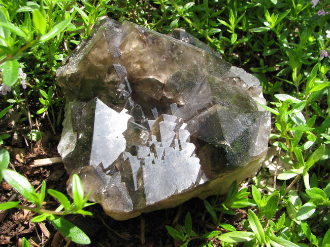 RauchStufe Arkansas