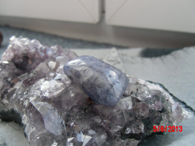 DSCI0298.JPG