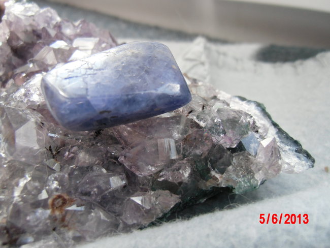 DSCI0299.JPG