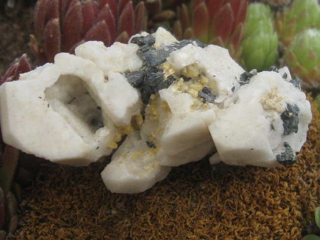 aegirinalbiet (1).JPG