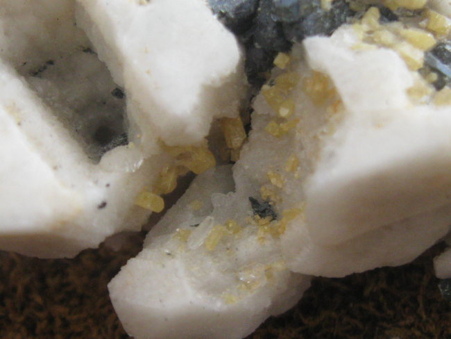 aegirinalbiet (2).JPG