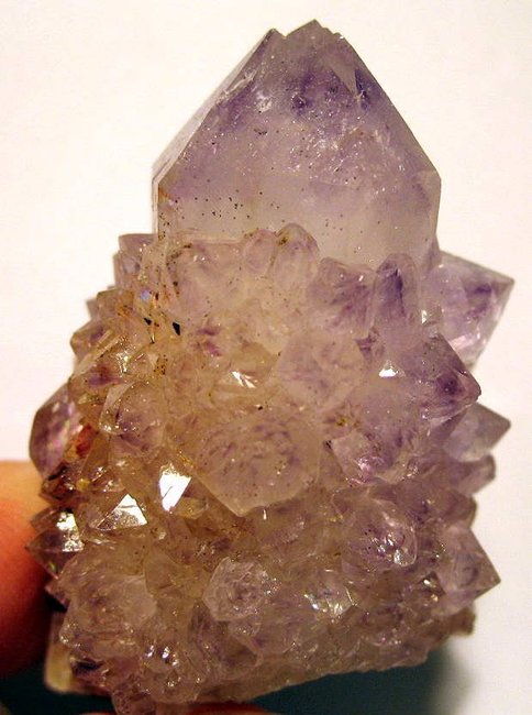 Ameth-Kaktus3.JPG