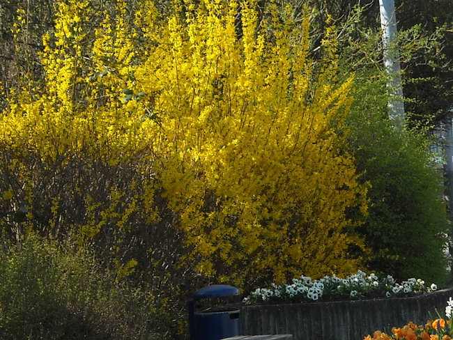 11 DSCN0056.jpg