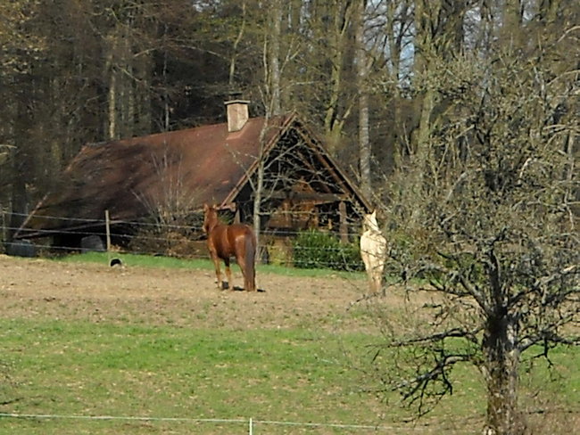 DSCN0093.jpg