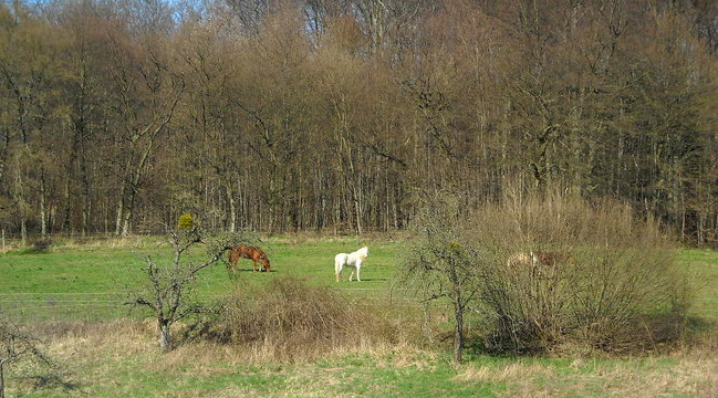 DSCN0085.jpg