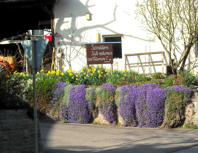 DSCN0123.jpg