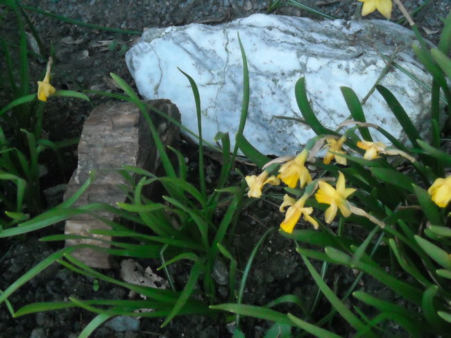 DSCN0151.jpg
