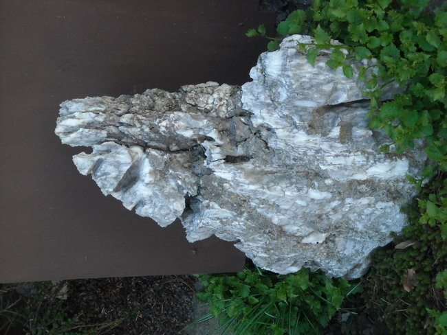 DSCN0157.JPG