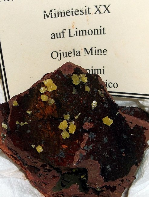 mimetesit.JPG (1.05 MiB) 15422 mal betrachtet gelber Mimetesit auf Limonit aus der Ojuela Mine in Durango