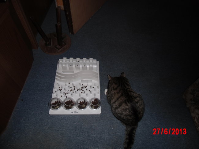 Tuna und das Fummelbrett