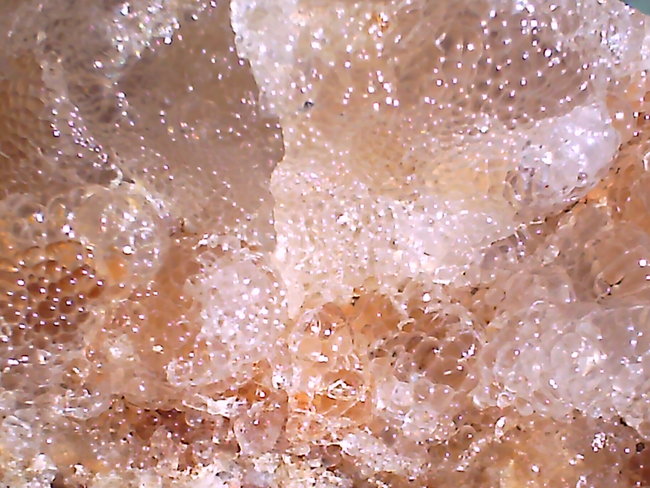 Opal Glas (7).JPG