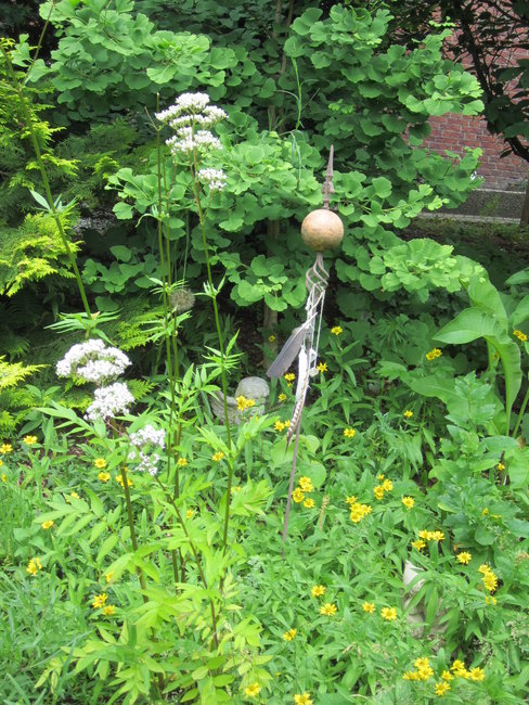 Baldrian im WiesenArnika vorm Gingkobaum