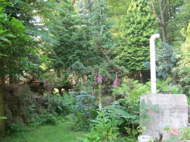 01.JPG
