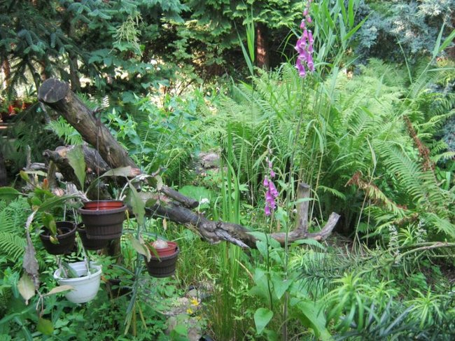 09.JPG