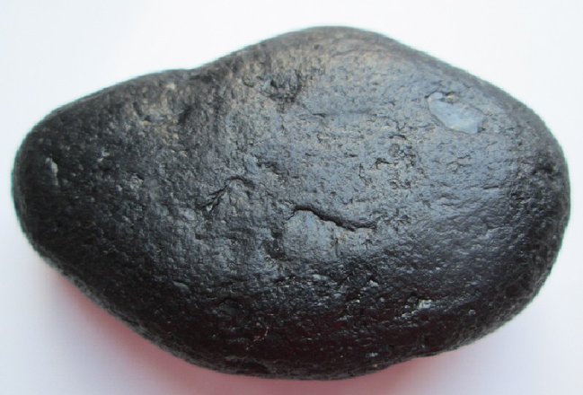 gagat aus dem atlantik02.jpg
