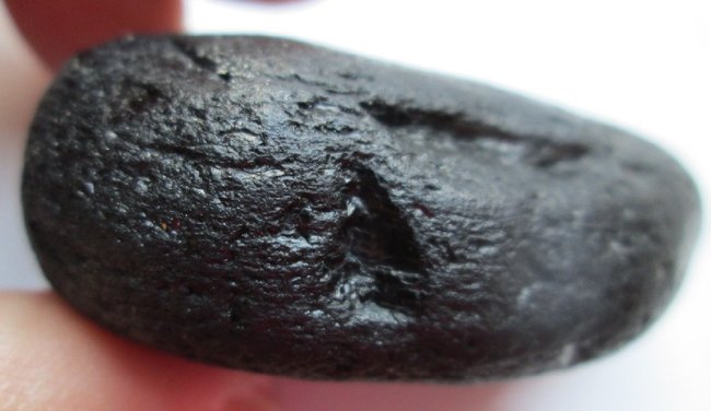 gagat aus dem atlantik06.jpg