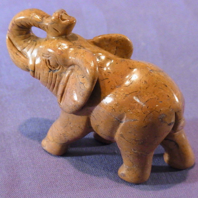 schlammjaspis Elefant
