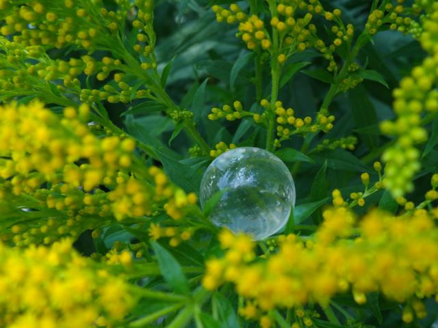 im Garten