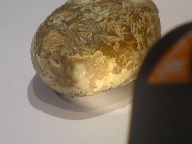 k-DSC04201.JPG