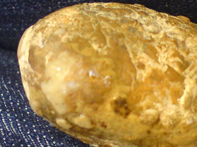 k-DSC04213.JPG