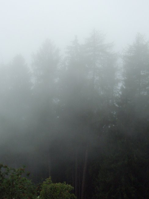 Bilder Urlaub Grafenast 004.jpg
