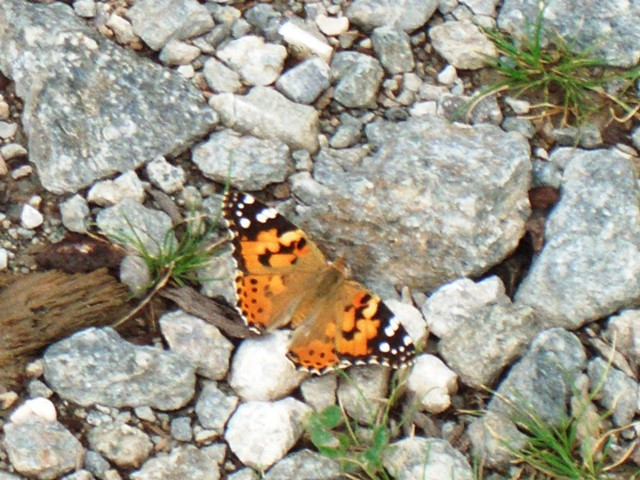 Bilder Urlaub Grafenast 015.jpg