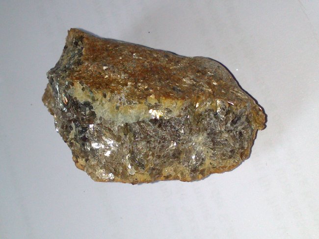 DSC_1159.jpg