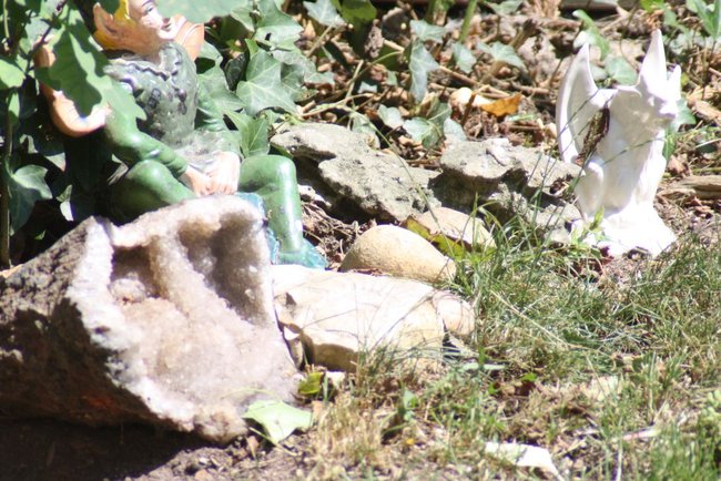 Garten.jpg