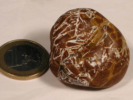 rote Feuersteinbreckzie mit Chazedon_2.JPG