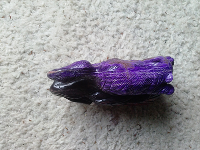 CAM00022.jpg