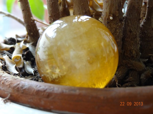 DSC01577.JPG